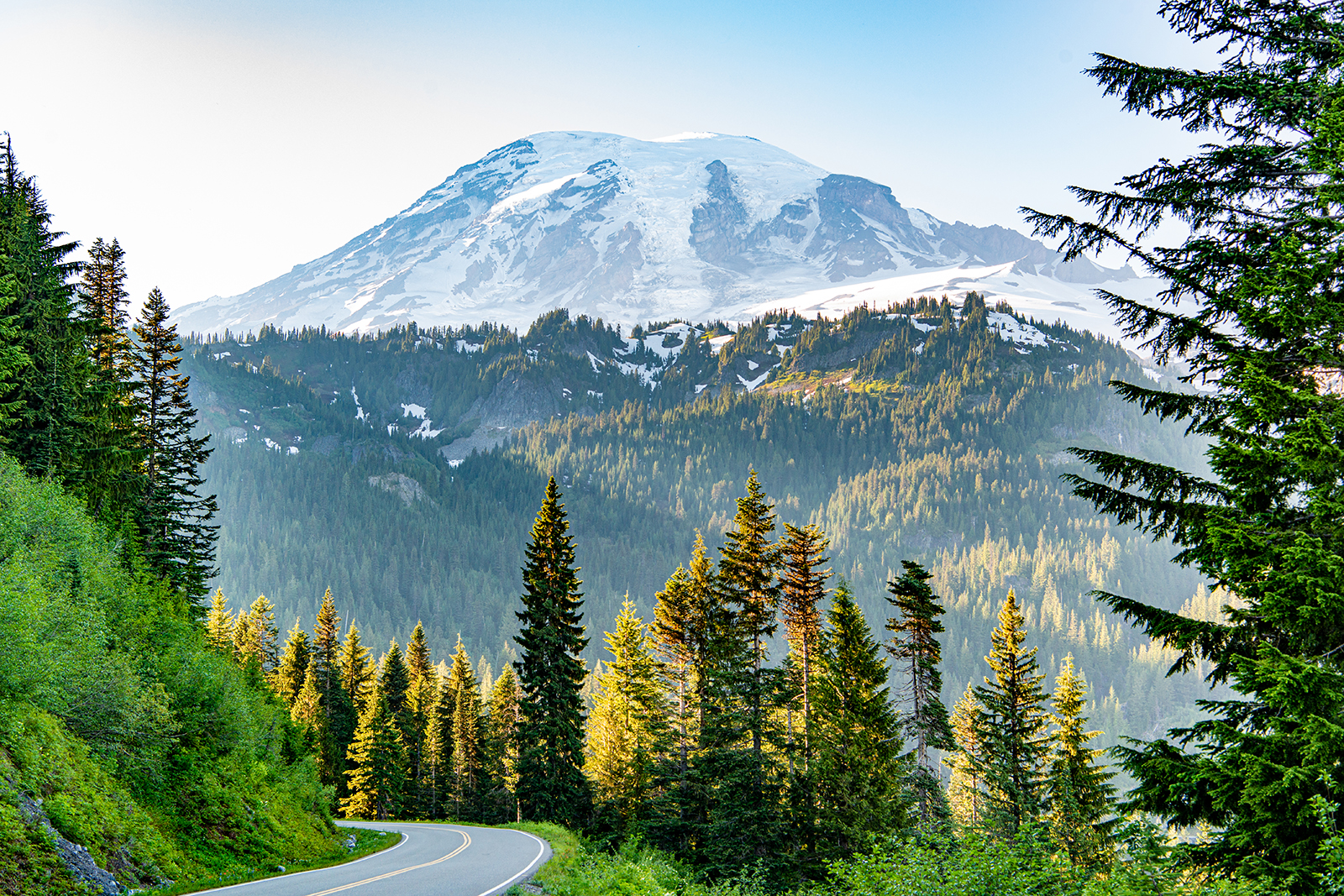 Mount Rainier landscape